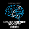 Glasgow University Neuroscience Society - Mockup - Image 3